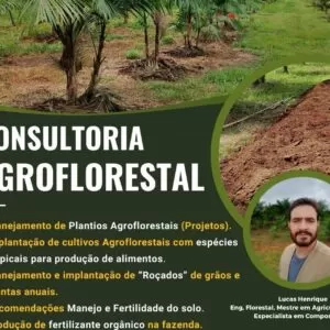 Agrofloresta implantação / consultoria
