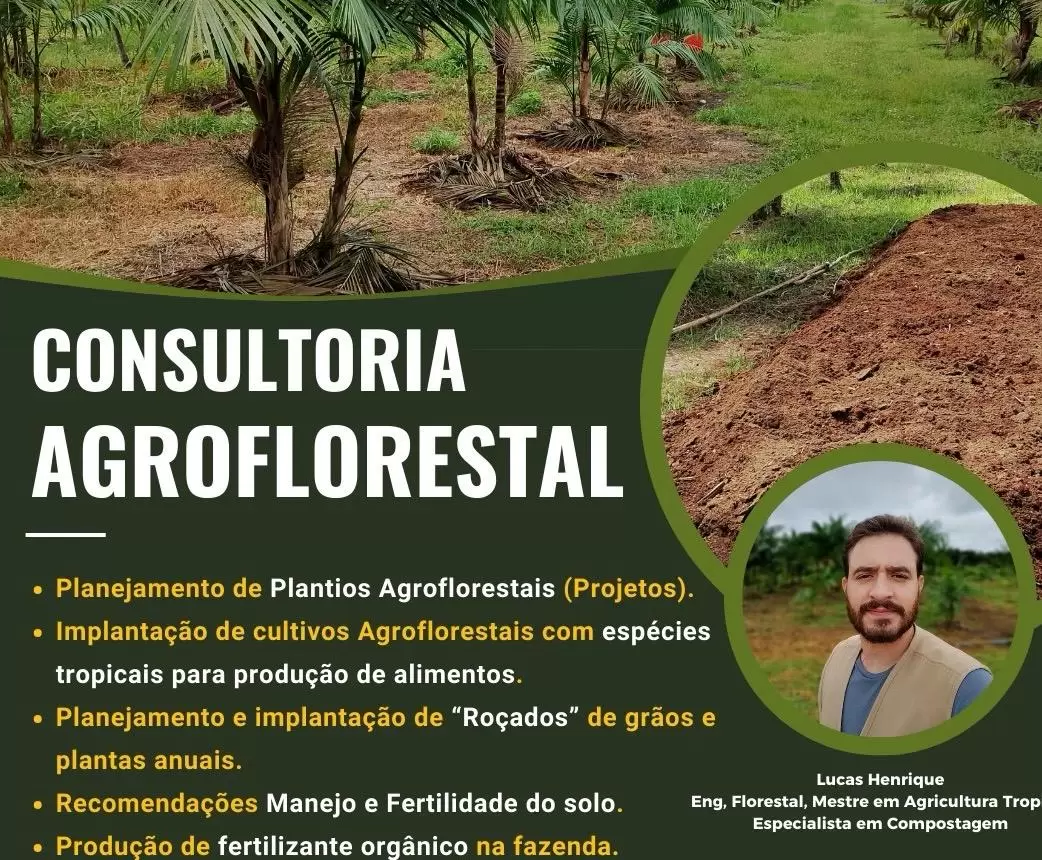 Agrofloresta implantação / consultoria